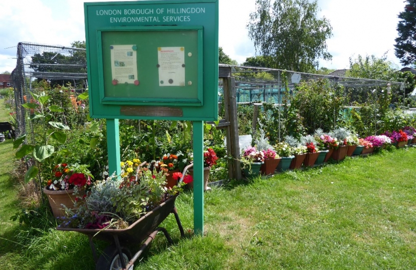 Ickenham Green Allotment