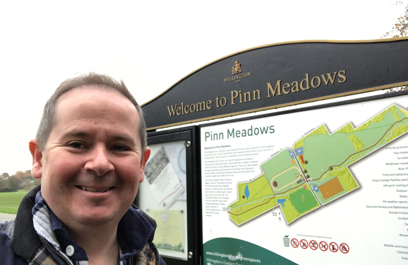 Pinn Meadows