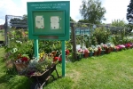 Ickenham Green Allotment