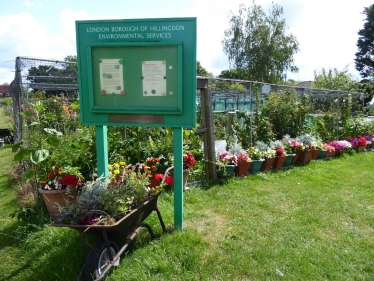 Ickenham Green Allotment